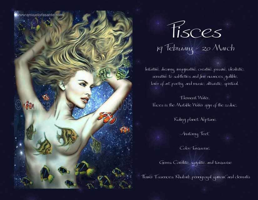 Pisces Flower Photo by suleskev Photobucket